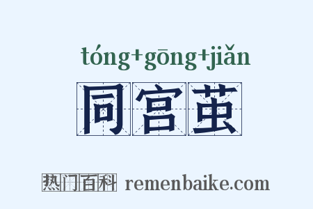 同宫茧是什么意思的图片